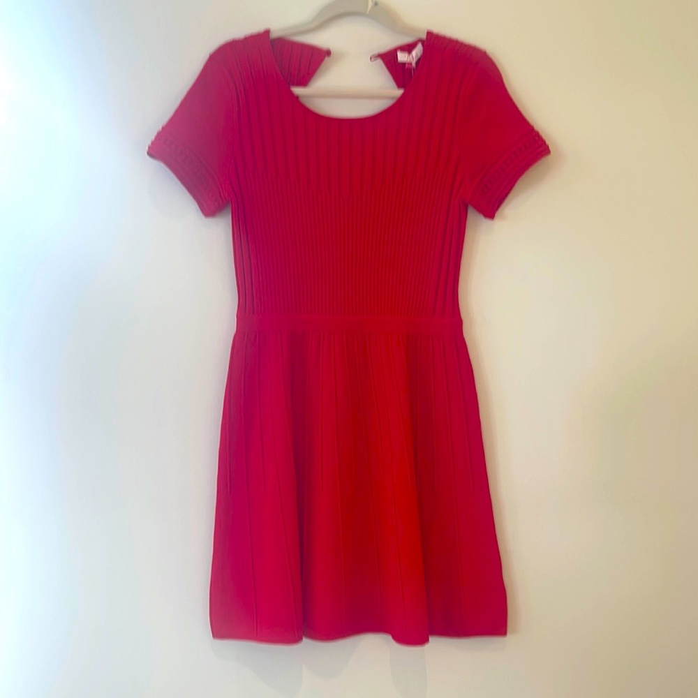 Lady in Red by Parker
